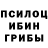Галлюциногенные грибы Magic Shrooms Roman Saharov