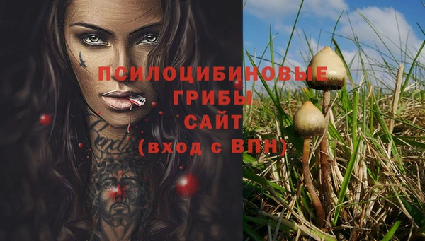 спайс Алзамай