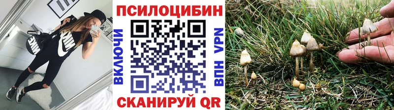 kraken tor  купить  сайты  Старая Купавна  Псилоцибиновые грибы мухоморы 