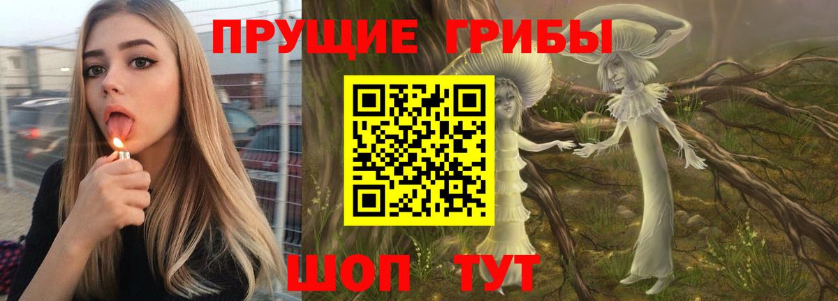 Старая Купавна  Галлюциногенные грибы Cubensis  Вход с VPN 