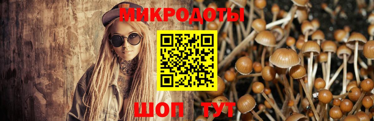 Псилоцибиновые грибы прущие грибы Старая Купавна