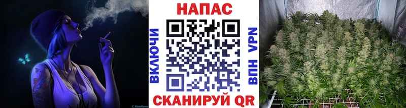 блэк спрут вход  Старая Купавна  Марихуана индика 